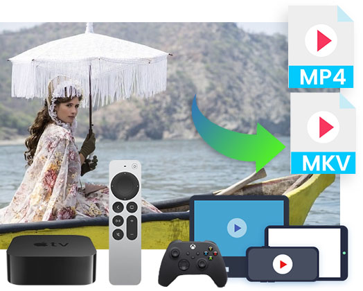 M6 Plus Downloader features